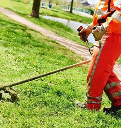 Стрижка газона в Тобольске