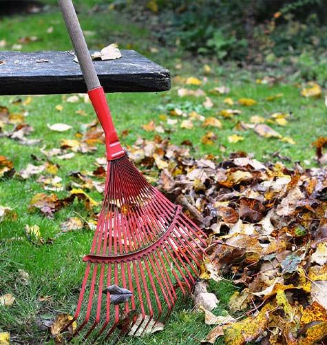 Уборка территории для организаций в Тобольске